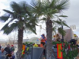 Simmeringer Faschingsumzug 2025